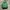 VANS Streetwear Casual Bag Pria Green