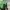 VANS Streetwear Casual Bag Pria green photo 4