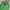 VANS Streetwear Casual Bag Pria green photo 3