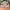 New Balance 996 Grey Made In USA photo 6