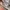 New Balance 996 Grey Made In USA photo 7