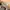 New Balance 996 Grey Made In USA photo 9