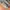 New Balance 996 Grey Made In USA photo 3