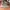 New Balance 996 Grey Made In USA photo 4