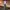 Wide leg grey photo 8