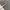 Wide leg grey photo 5