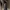Wide leg grey photo 5