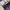 Wide leg grey photo 9