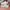 Puma Cali Bold Pastel Parchment Bridal Rose photo 1
