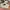 Nike Kyrie infinity Chinese New Years photo 6