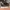 Air Jordan Proto React Jumpman Black photo 1