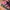 Nike Air More Uptempo GS Hot Punch photo 5