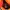 Nike Air More Uptempo GS Hot Punch photo 8