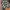 Yeezy Boost 700 Wave Runner  photo 9