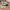Yeezy Boost 700 Wave Runner  photo 1