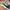 Yeezy Boost 700 Wave Runner  photo 2