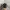 SLING BAG FJALLRAVEN KANKEN TAS SELEMPANG FJALLRAVEN KANKEN photo 3