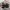 SLING BAG FJALLRAVEN KANKEN TAS SELEMPANG FJALLRAVEN KANKEN photo 5