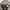 SLING BAG FJALLRAVEN KANKEN TAS SELEMPANG FJALLRAVEN KANKEN photo 2