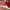 Puma suede classic red photo 2
