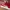 Puma Suede Classic Red