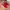 Puma suede classic red photo 3