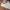 Adidas Sleek Crystal White photo 2