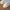 Adidas Stan smith trefoil triple white photo 7