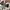 Adidas Stan smith trefoil triple white photo 8