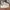 Adidas Stan smith trefoil triple white photo 1
