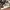 Nike Air Force 1 Low N354 Type 