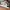 Nike Air Force 1 Low N354 Type  photo 6