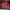Tracktop Maroon Boxy Adid4s Basic  photo 3
