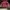 Tracktop Maroon Boxy Adid4s Basic  photo 7