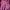 Tracktop Maroon Boxy Adid4s Basic  photo 5