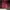 Sweatshirt Crewneck Basic red maroon scent photo 2