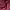Sweatshirt Crewneck Basic red maroon scent photo 4
