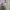 Minimalist Babydoll dress Wanita cream yellow photo 2