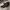 CONVERSE CHUCK TAYLOR ALL BLACK LEATHER  photo 2