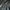 Sweatshirt Crewneck Basic champi0n dark gray boxy photo 5
