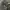 Avirex MA 1  photo 7