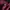 Sweatshirt crewneck basic red tate  boxy photo 3