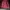 Sweatshirt crewneck basic red tate  boxy photo 2