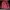 Sweatshirt Crewneck Basic Red Tate  Boxy