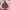 ZIP HOODIE PANCOAT, Size S