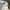 Vintage Lacoste Snapback Cap White Unisex  photo 7