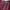 Korean Dark Red Mysterious Tee Baju Shirt