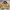 Carhartt detroit Wj097 Vintage 2007 CML photo 1