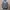 UNBRAND Hodie Rajut Mix Sherpa photo 1