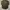 GAP - Dark Green long sleeve Shirt photo 3
